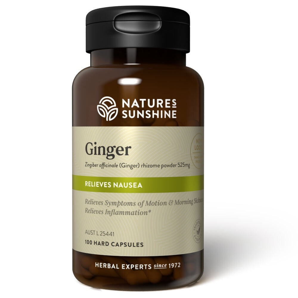 Nature's Sunshine Ginger 100 Capsules natures FREE SHIPPING