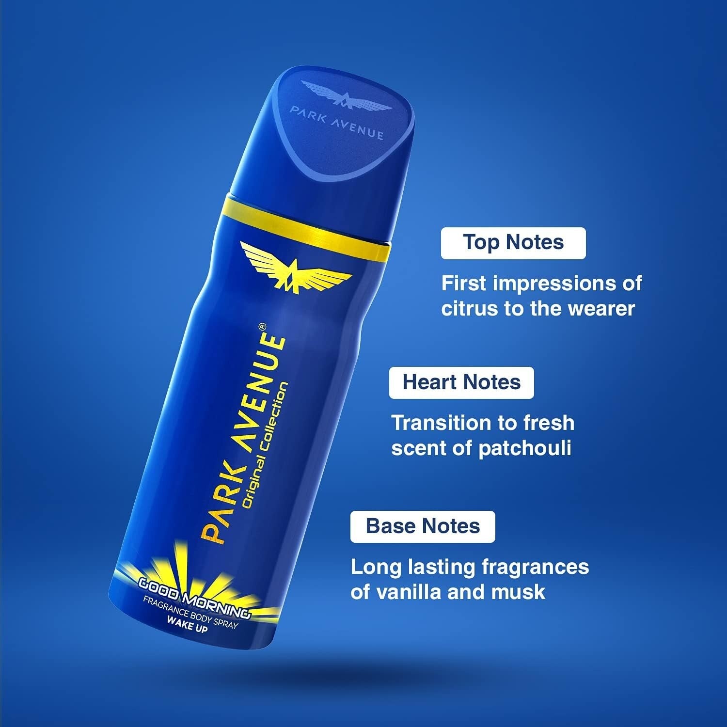 Park Avenue Good Morning Body Deodorant for Men, 100g  Free Shipping