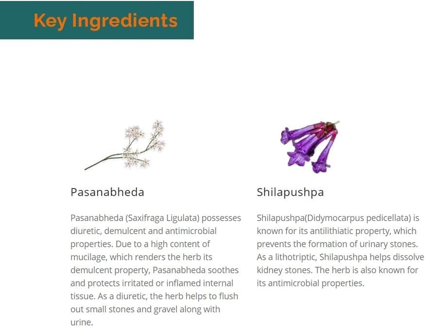 Himalaya Cystone Tablets 60 (Pack of 2) Free Shipping