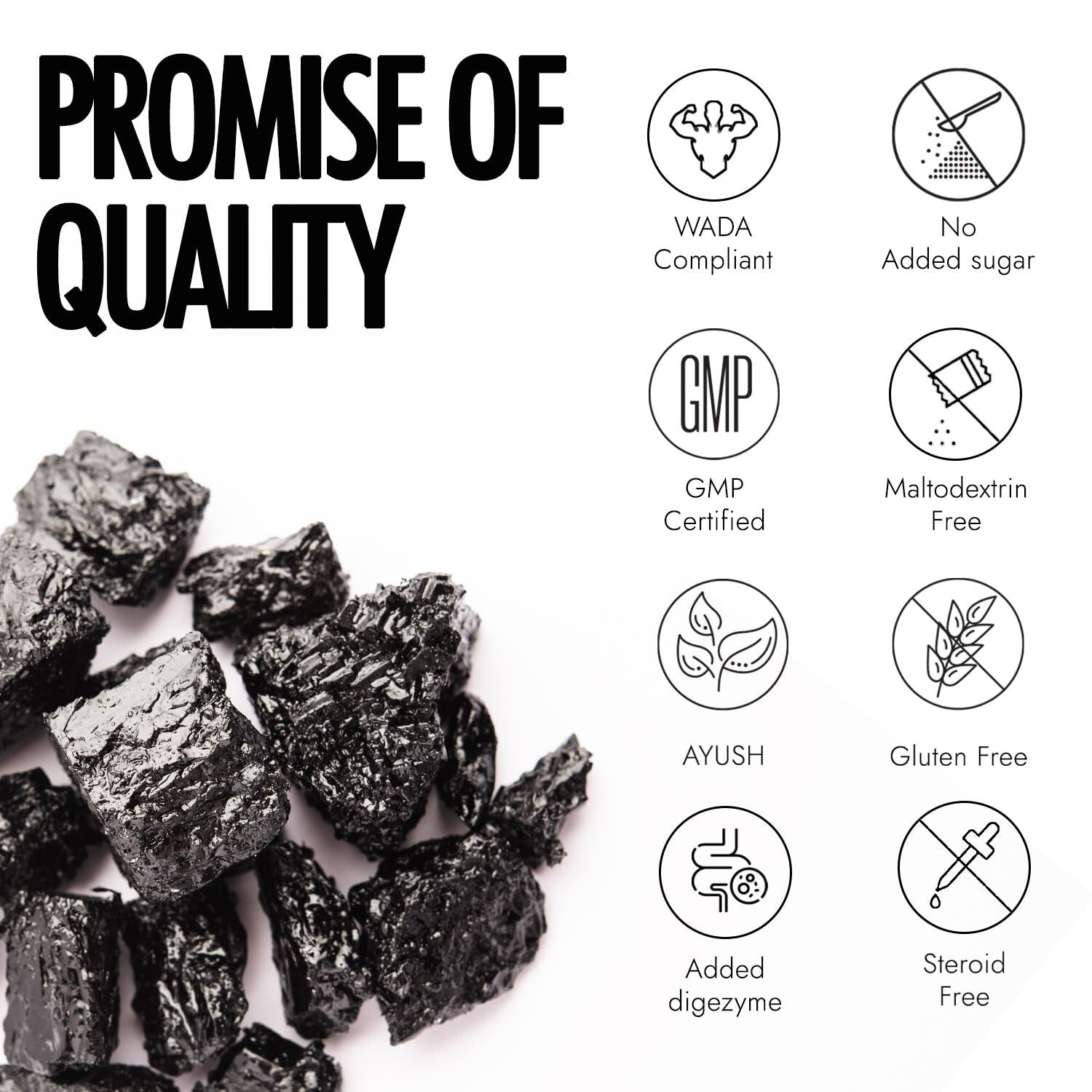 Kapiva Him Foods Testofuel Shilajit Whey Protein -1kg Cookies and Cream