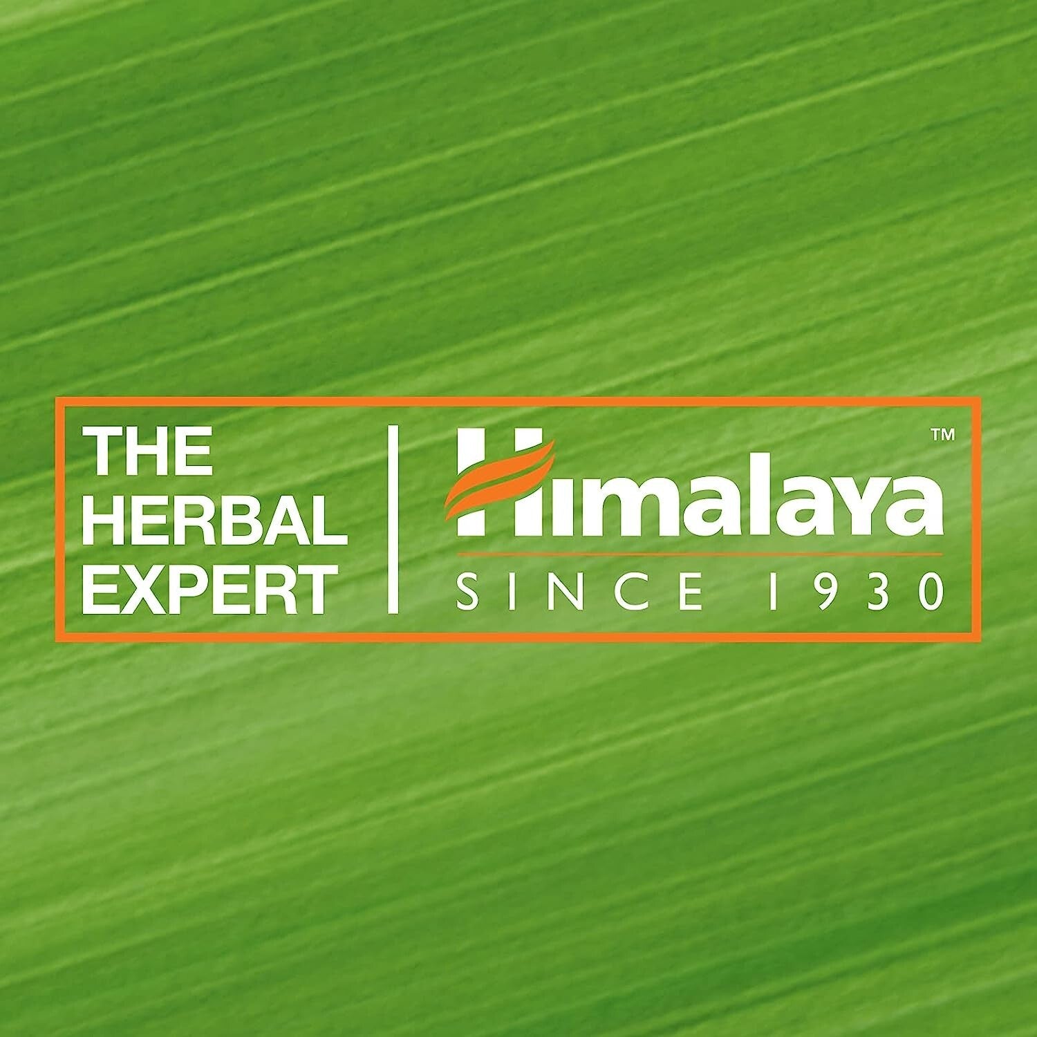 Himalaya Herbals Anti Wrinkle Cream - 50gm / Reduces Wrinkles, fine  lines