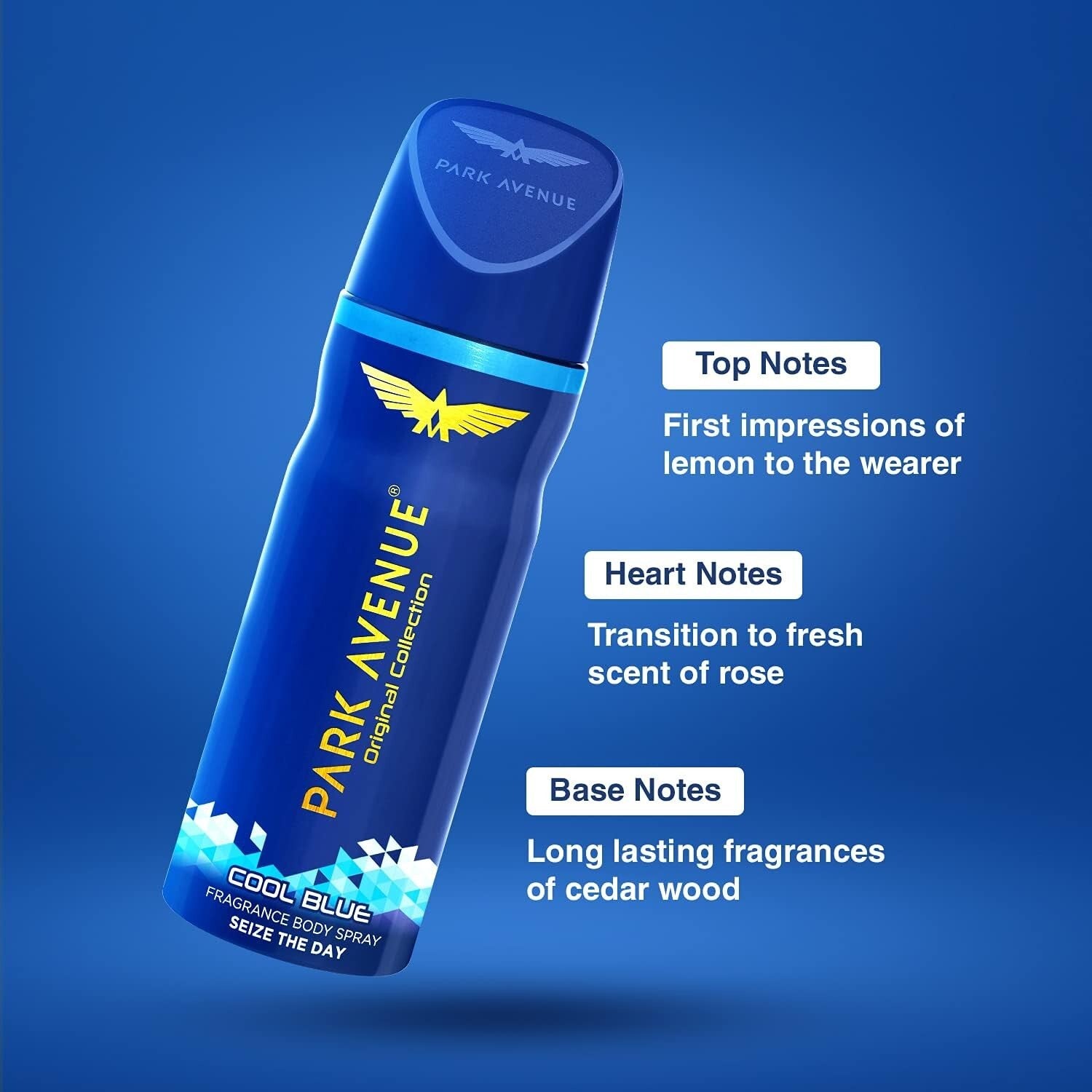 Park Avenue Cool Blue Classic Deo - For men 100g  Free Shipping