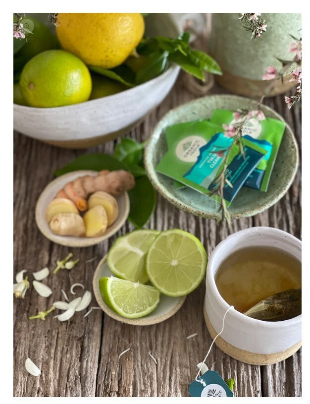 Organic India Tulsi True Wellness Collection 25 Teabags  Free Shipping