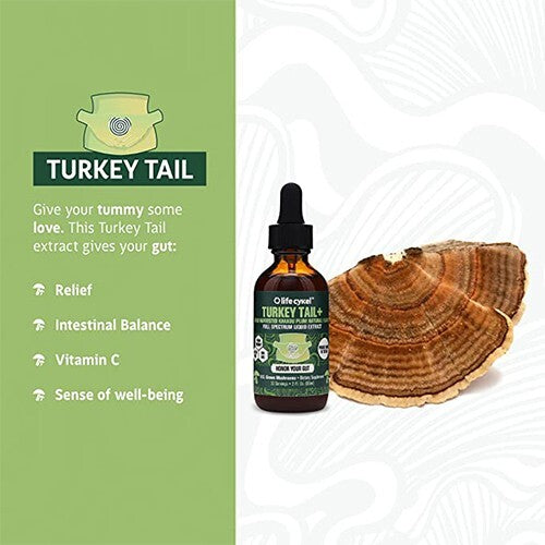 Life Cykel Turkey Tail Double Extract 60ml  Free Shipping
