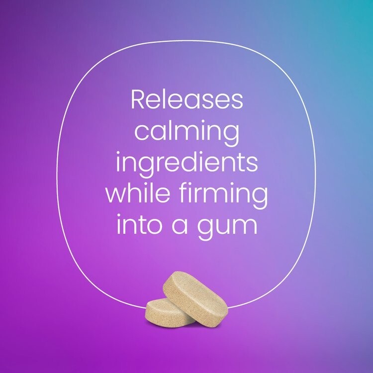 Goodspace Anxiety Aid Chewing Gum Menthol Lift 10 Pieces FREE SHIPPING