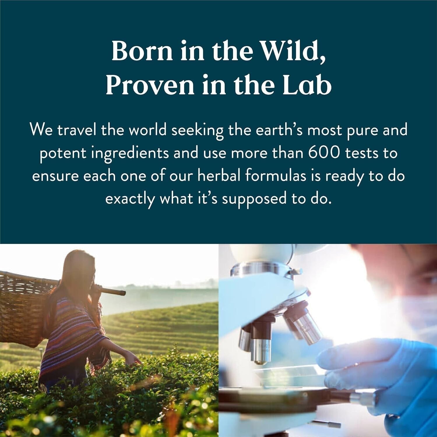 Nature's Sunshine Slippery Elm Bark Powder 200g Free shipping