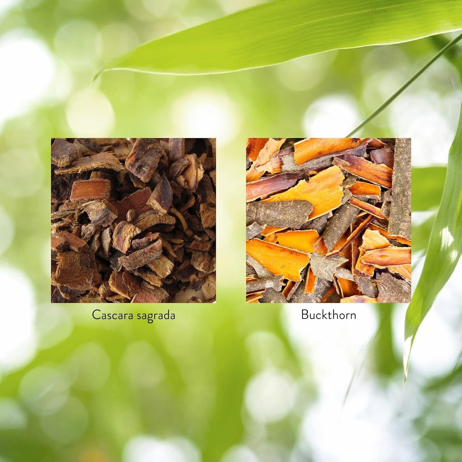 Natures Sunshine Lower Bowel Stimulant 100 capsules laxative constipation