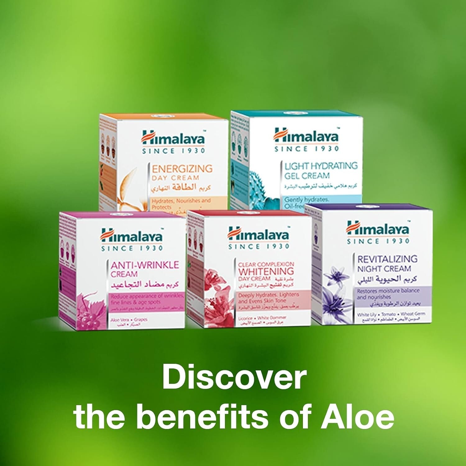 Himalaya Herbals Anti Wrinkle Cream - 50gm / Reduces Wrinkles, fine  lines