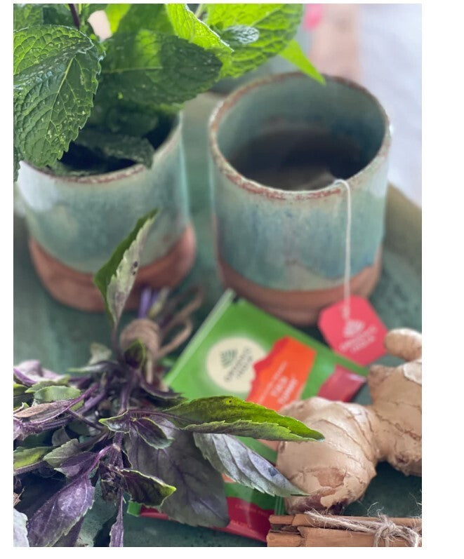 Organic India Tulsi True Wellness Collection 25 Teabags  Free Shipping