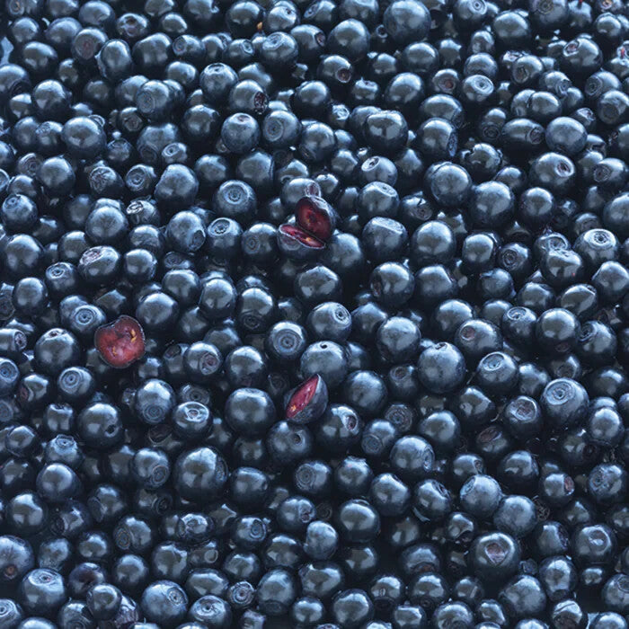 New Nordic Blue Berry Eyebright Dietary Supplements 120 Tablets FREE SHIPPING