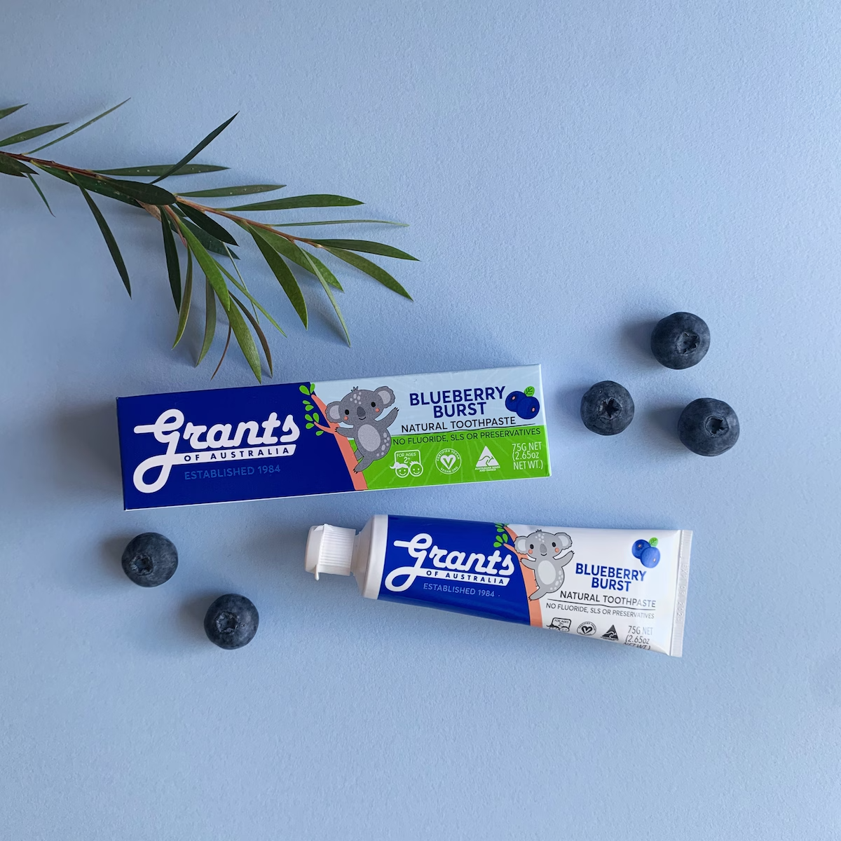 Grants Kids Natural Blueberry Burst with No Fluoride Toothpaste 75g-Au