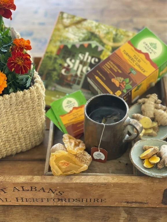 Organic India Tulsi Ginger Bundle  Free Shipping