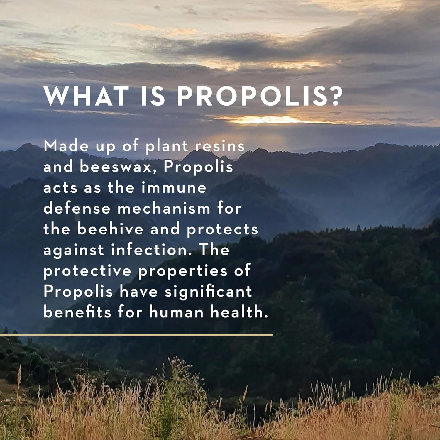 Manuka Health Manuka Lozenges & Propolis MGO400 15s  Free Shipping